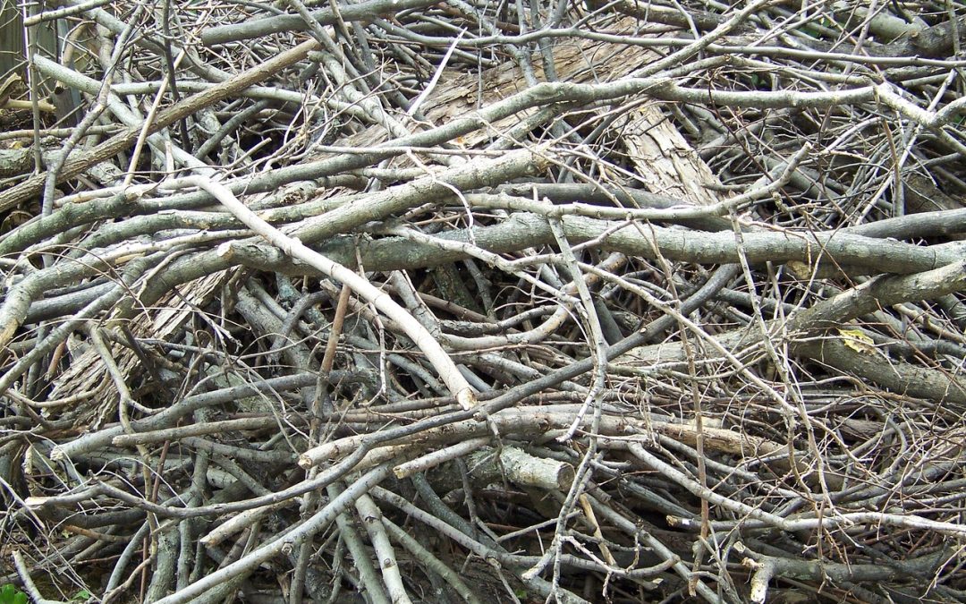 Garbage Bin Site – WOOD PILE