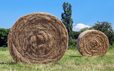 Highway Hay Salvage and Ditch Mowing