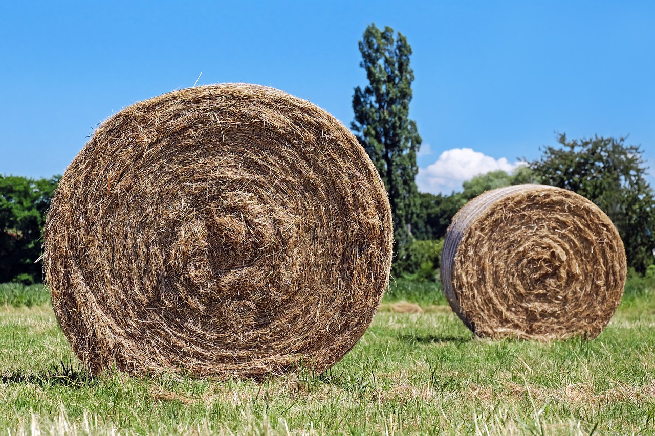 hay bales g54cf5ccd6 1280