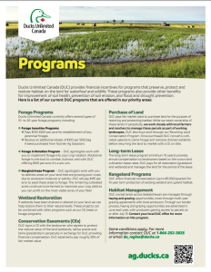 Screenshot 2024 03 08 110044