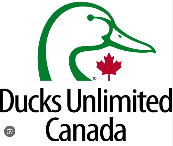 Screenshot 2024 03 08 111131