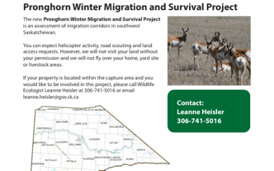 Poster from the Ministry of Environment