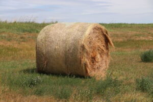 round bale